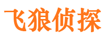 西峰私家侦探